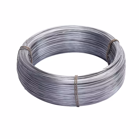 304 316 201 316lvm 430 420 Er308L 309S Bright/ Tinny/Spring/Welding Stainless Steel Wire