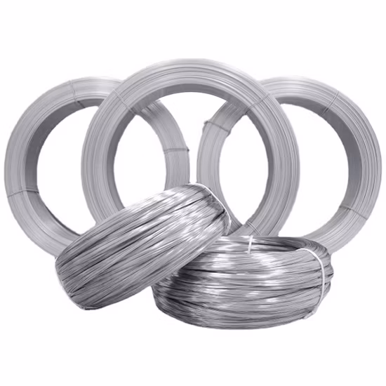 304 316 201 316lvm 430 420 Er308L 309S Bright/ Tinny/Spring/Welding Stainless Steel Wire