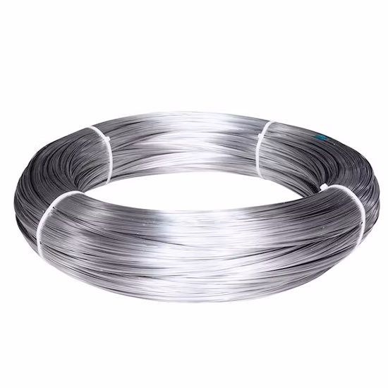304 316 201 316lvm 430 420 Er308L 309S Bright/ Tinny/Spring/Welding Stainless Steel Wire